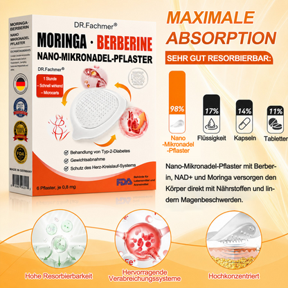 🇩🇪Offizieller Shop | 💎 GFOUK® Moringa Berberinex NAD+ 10-in-1 Nano-Mikronadel-Patch (Nur einmal täglich, sichtbare Veränderungen in 7 Tagen) ✅ Für Übergewicht, lockere Haut, Diabetes, Schlafapnoe, Gelenkprobleme und mehr